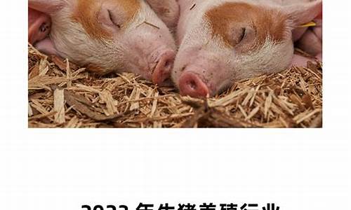 2024生猪直播室(2024生猪价格走势行情分析)_https://www.dai-osaka.com_股指期货_第2张