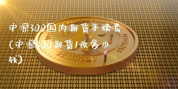 沪深300国内期货手续费(沪深300期货1收多少钱)_https://www.dai-osaka.com_黄金期货_第1张