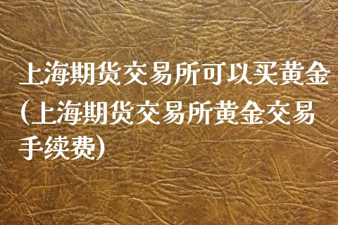 上海期货交易所可以买黄金(上海期货交易所黄金交易手续费)_https://www.dai-osaka.com_原油期货_第1张