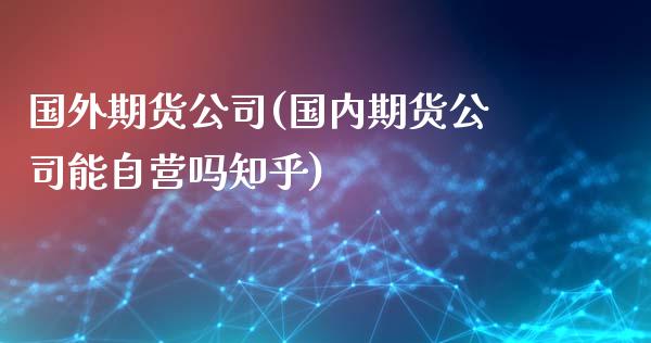 国外期货公司(国内期货公司能自营吗知乎)_https://www.dai-osaka.com_外汇资讯_第1张