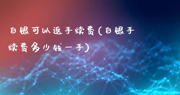 白银可以返手续费(白银手续费多少钱一手)_https://www.dai-osaka.com_股指期货_第1张