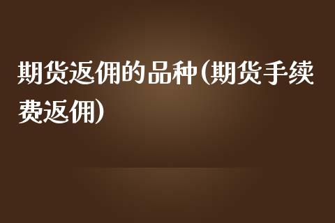 期货返佣的品种(期货手续费返佣)_https://www.dai-osaka.com_恒生指数_第1张