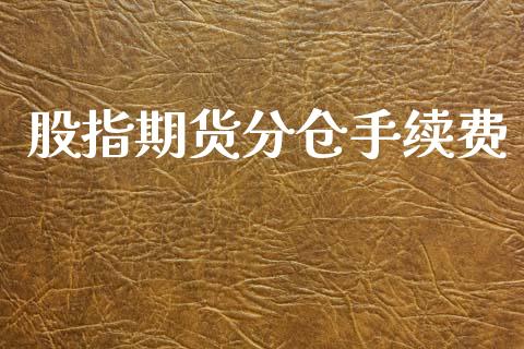 股指期货分仓手续费_https://www.dai-osaka.com_外汇资讯_第1张