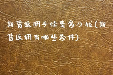 期货返佣手续费多少钱(期货返佣有哪些条件)_https://www.dai-osaka.com_恒生指数_第1张