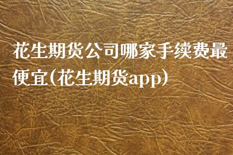 花生期货公司哪家手续费最便宜(花生期货app)_https://www.dai-osaka.com_原油期货_第1张