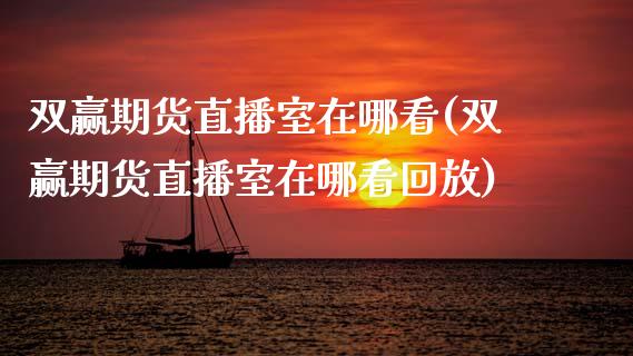 双赢期货直播室在哪看(双赢期货直播室在哪看回放)_https://www.dai-osaka.com_原油期货_第1张