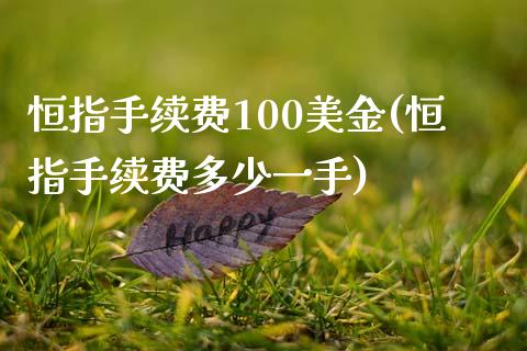 恒指手续费100美金(恒指手续费多少一手)_https://www.dai-osaka.com_恒生指数_第1张