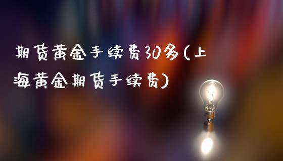 期货黄金手续费30多(上海黄金期货手续费)_https://www.dai-osaka.com_股票资讯_第1张