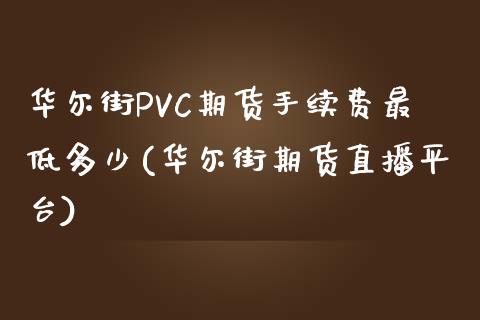 华尔街PVC期货手续费最低多少(华尔街期货直播平台)_https://www.dai-osaka.com_股票资讯_第1张