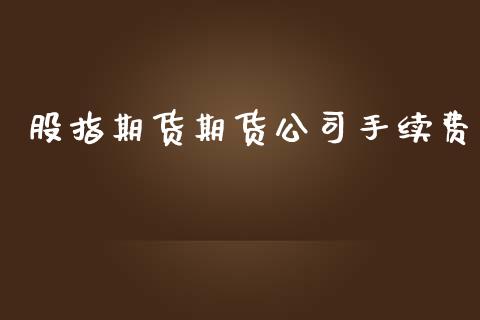 股指期货期货公司手续费_https://www.dai-osaka.com_外盘期货_第1张