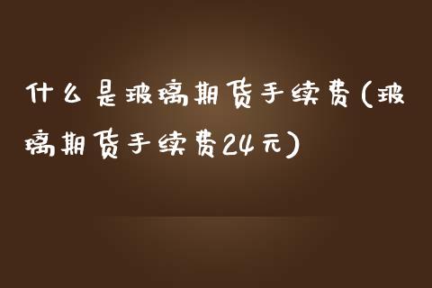 什么是玻璃期货手续费(玻璃期货手续费24元)_https://www.dai-osaka.com_股指期货_第1张