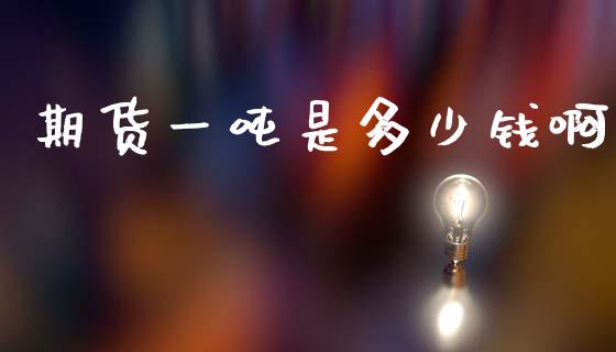 期货一吨是多少钱啊_https://www.dai-osaka.com_股票资讯_第1张