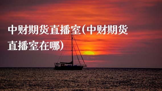 中财期货直播室(中财期货直播室在哪)_https://www.dai-osaka.com_股指期货_第1张