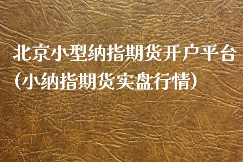 北京小型纳指期货开户平台(小纳指期货实盘行情)_https://www.dai-osaka.com_恒生指数_第1张