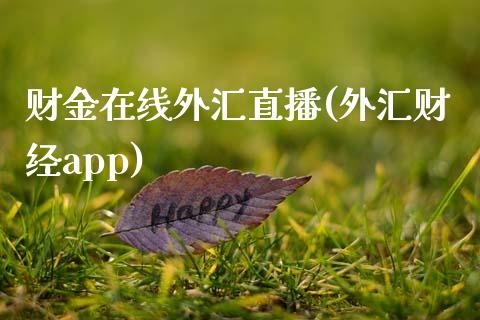 财金在线外汇直播(外汇财经app)_https://www.dai-osaka.com_股票资讯_第1张