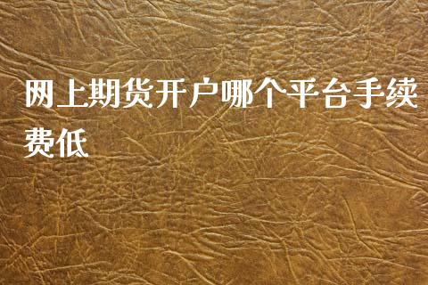 网上期货开户哪个平台手续费低_https://www.dai-osaka.com_股指期货_第1张