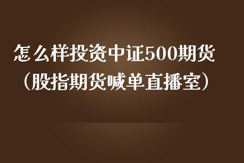 怎么样投资中证500期货（股指期货喊单直播室）_https://www.dai-osaka.com_恒生指数_第1张