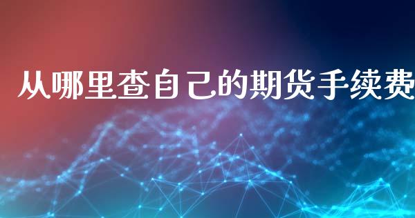 从哪里查自己的期货手续费_https://www.dai-osaka.com_国内期货_第1张