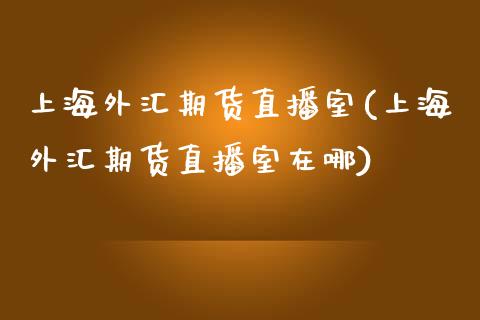 上海外汇期货直播室(上海外汇期货直播室在哪)_https://www.dai-osaka.com_股指期货_第1张