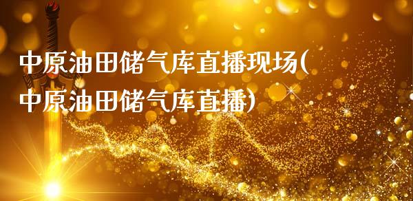 中原油田储气库直播现场(中原油田储气库直播)_https://www.dai-osaka.com_股指期货_第1张