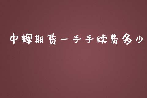 中辉期货一手手续费多少_https://www.dai-osaka.com_国内期货_第1张