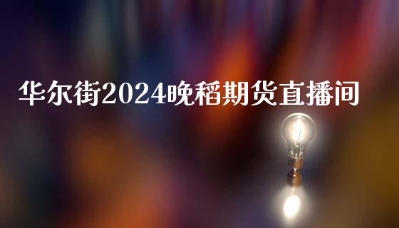 华尔街2024晚稻期货直播间_https://www.dai-osaka.com_国内期货_第1张