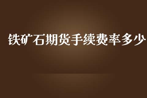 铁矿石期货手续费率多少_https://www.dai-osaka.com_股指期货_第1张