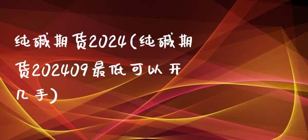 纯碱期货2024(纯碱期货202409最低可以开几手)_https://www.dai-osaka.com_外汇资讯_第1张