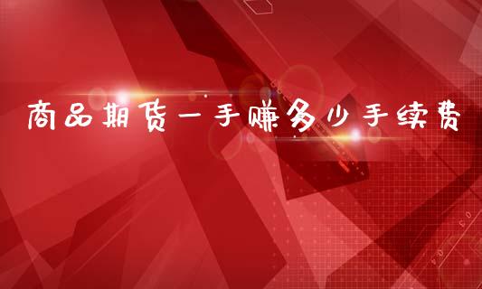 商品期货一手赚多少手续费_https://www.dai-osaka.com_股票资讯_第1张