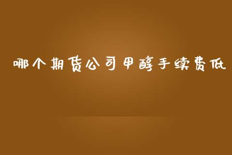 哪个期货公司甲醇手续费低_https://www.dai-osaka.com_股指期货_第1张