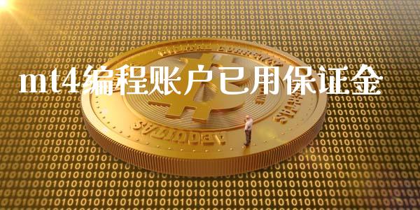 mt4编程账户已用保证金_https://www.dai-osaka.com_国内期货_第1张