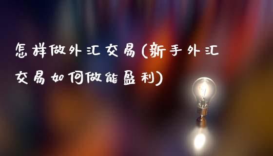 怎样做外汇交易(新手外汇交易如何做能盈利)_https://www.dai-osaka.com_国内期货_第1张