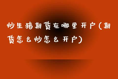 炒生猪期货在哪里开户(期货怎么炒怎么开户)_https://www.dai-osaka.com_恒生指数_第1张