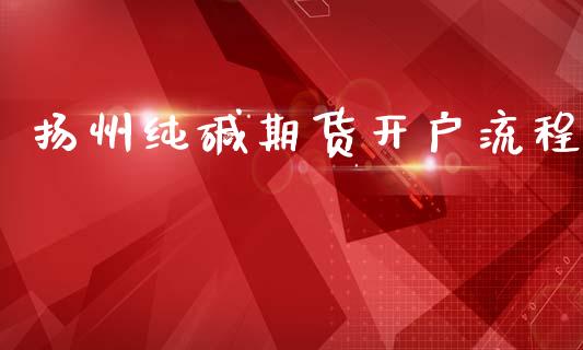 扬州纯碱期货开户流程_https://www.dai-osaka.com_外汇资讯_第1张