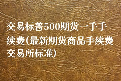 交易标普500期货一手手续费(最新期货商品手续费交易所标准)_https://www.dai-osaka.com_股指期货_第1张