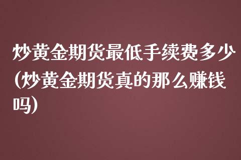 炒黄金期货最低手续费多少(炒黄金期货真的那么赚钱吗)_https://www.dai-osaka.com_原油期货_第1张