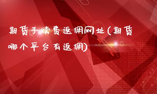 期货手续费返佣网址(期货哪个平台有返佣)_https://www.dai-osaka.com_原油期货_第1张