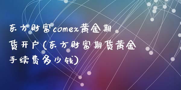 东方财富comex黄金期货开户(东方财富期货黄金手续费多少钱)_https://www.dai-osaka.com_恒生指数_第1张