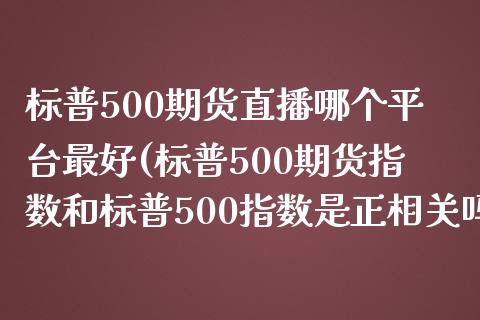 标普500期货直播哪个平台最好(标普500期货指数和标普500指数是正相关吗)_https://www.dai-osaka.com_股指期货_第1张