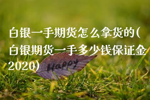 白银一手期货怎么拿货的(白银期货一手多少钱保证金2020)_https://www.dai-osaka.com_国内期货_第1张