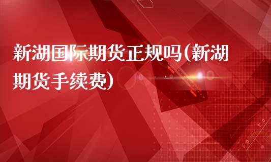 新湖国际期货正规吗(新湖期货手续费)_https://www.dai-osaka.com_外汇资讯_第1张