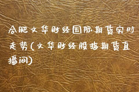 合肥文华财经国际期货实时走势(文华财经股指期货直播间)_https://www.dai-osaka.com_外盘期货_第1张