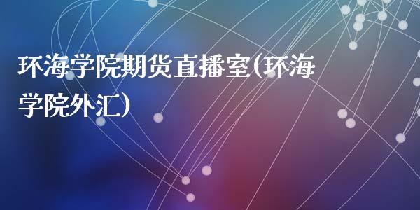 环海学院期货直播室(环海学院外汇)_https://www.dai-osaka.com_股指期货_第1张