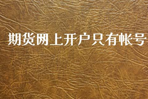 期货网上开户只有帐号_https://www.dai-osaka.com_恒生指数_第1张