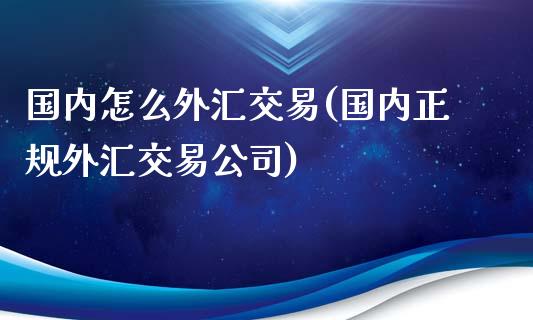 国内怎么外汇交易(国内正规外汇交易公司)_https://www.dai-osaka.com_股指期货_第1张