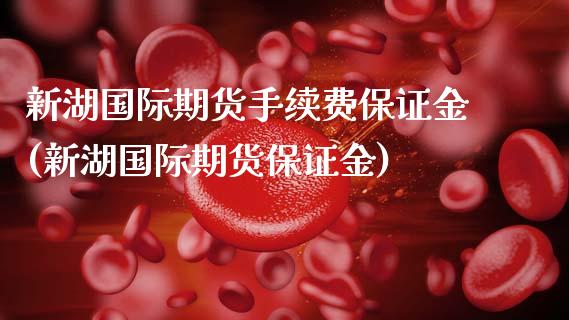 新湖国际期货手续费保证金(新湖国际期货保证金)_https://www.dai-osaka.com_股指期货_第1张