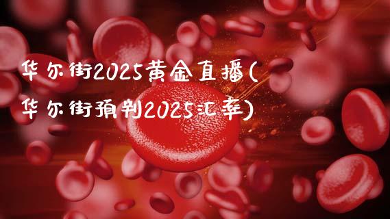 华尔街2025黄金直播(华尔街预判2025汇率)_https://www.dai-osaka.com_黄金期货_第1张