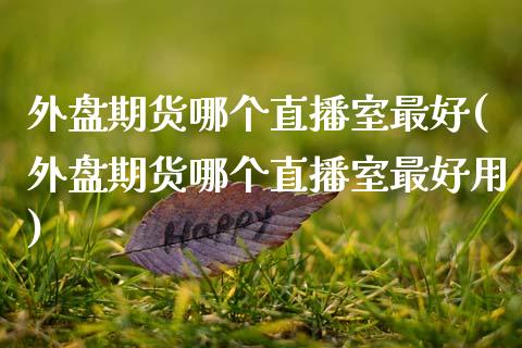 外盘期货哪个直播室最好(外盘期货哪个直播室最好用)_https://www.dai-osaka.com_恒生指数_第1张