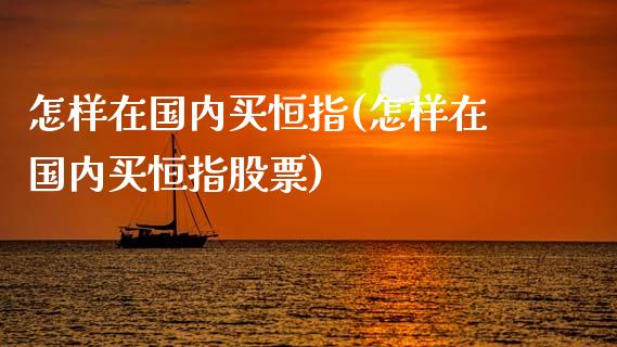 怎样在国内买恒指(怎样在国内买恒指股票)_https://www.dai-osaka.com_股指期货_第1张