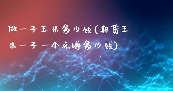 做一手玉米多少钱(期货玉米一手一个点赚多少钱)_https://www.dai-osaka.com_外汇资讯_第1张